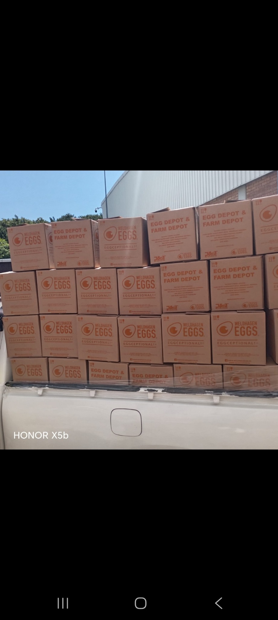 Bulk egg boxes prepared for delivery